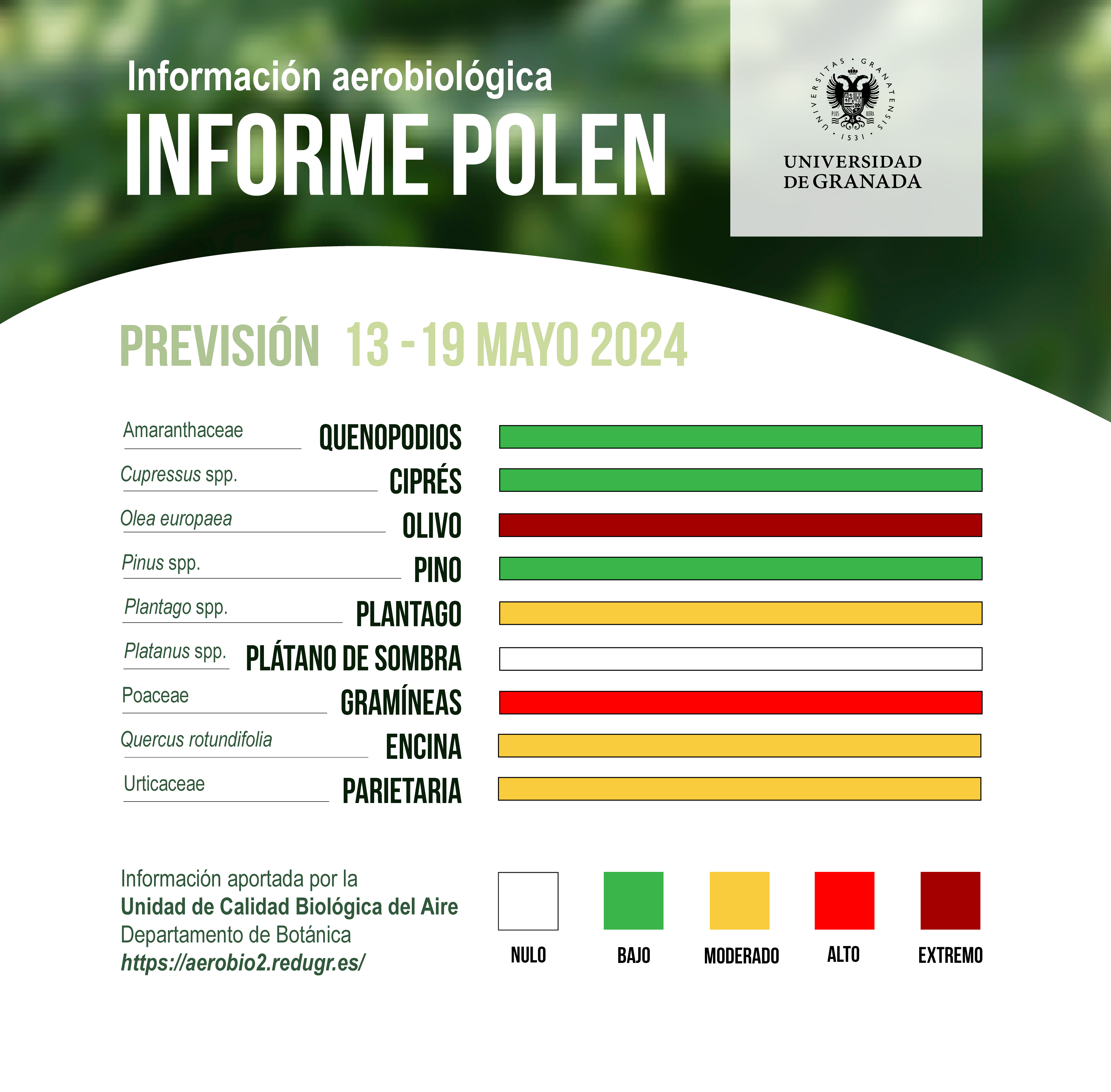 informe polen del 13 al 19 de mayo