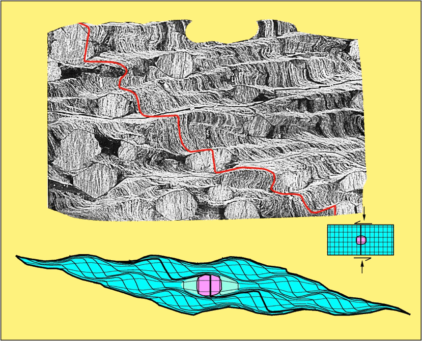 Descripcin: 02 strain model +  tiff