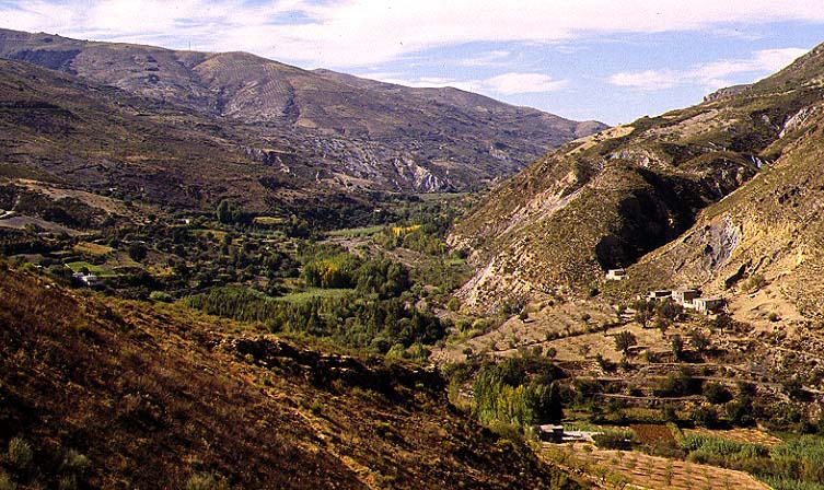 valle del guadalfeo.JPG (126806 bytes)