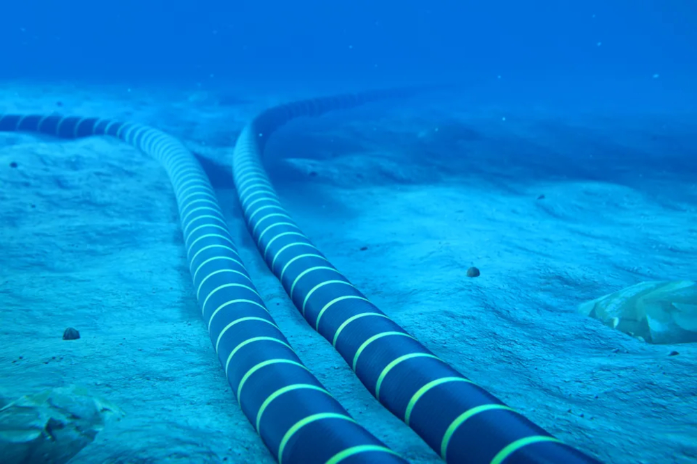 Dos cables de fibra óptica en el fondo del mar
