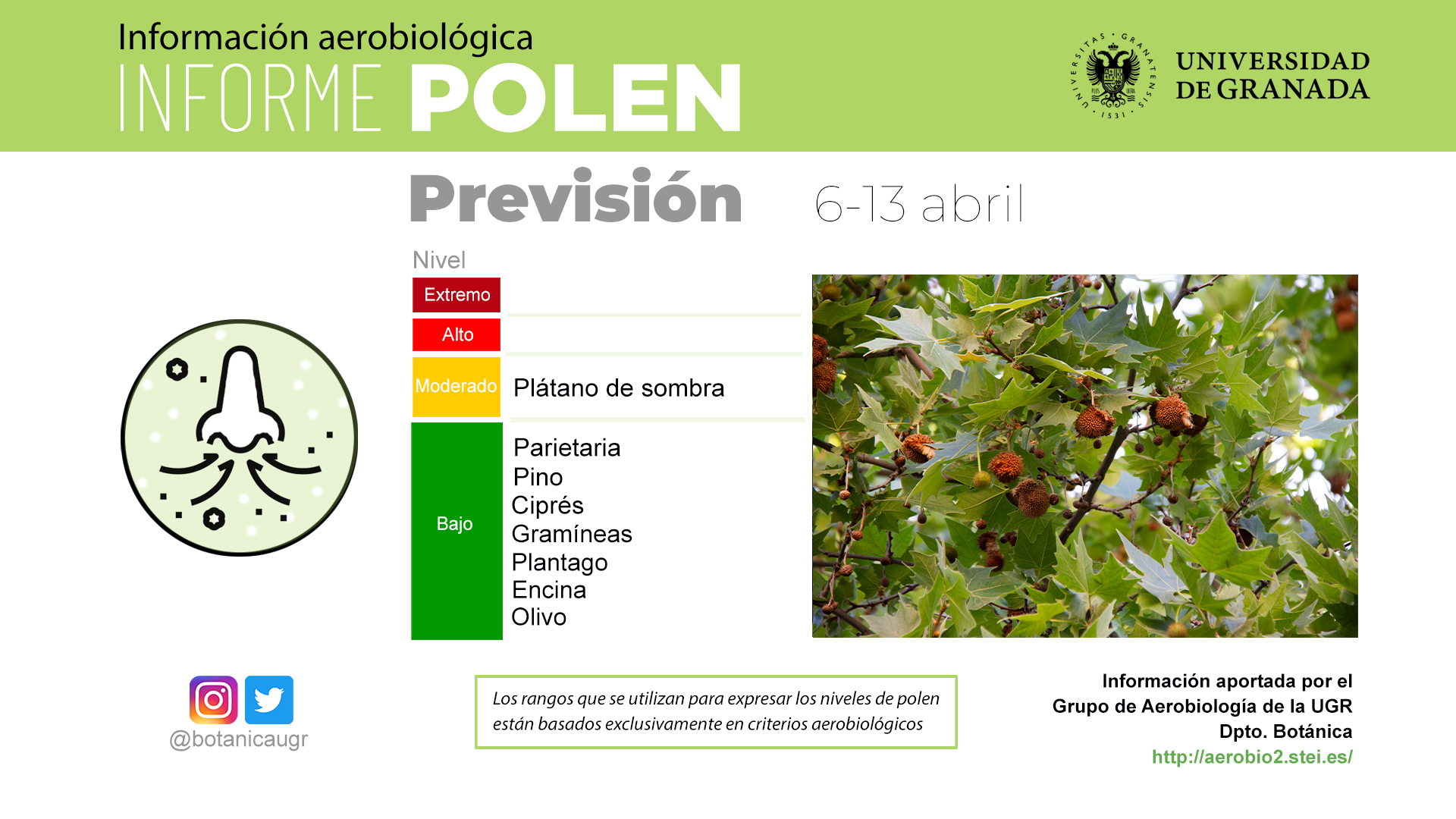 Gráfica del Informe polen del 6 al 13 de abril