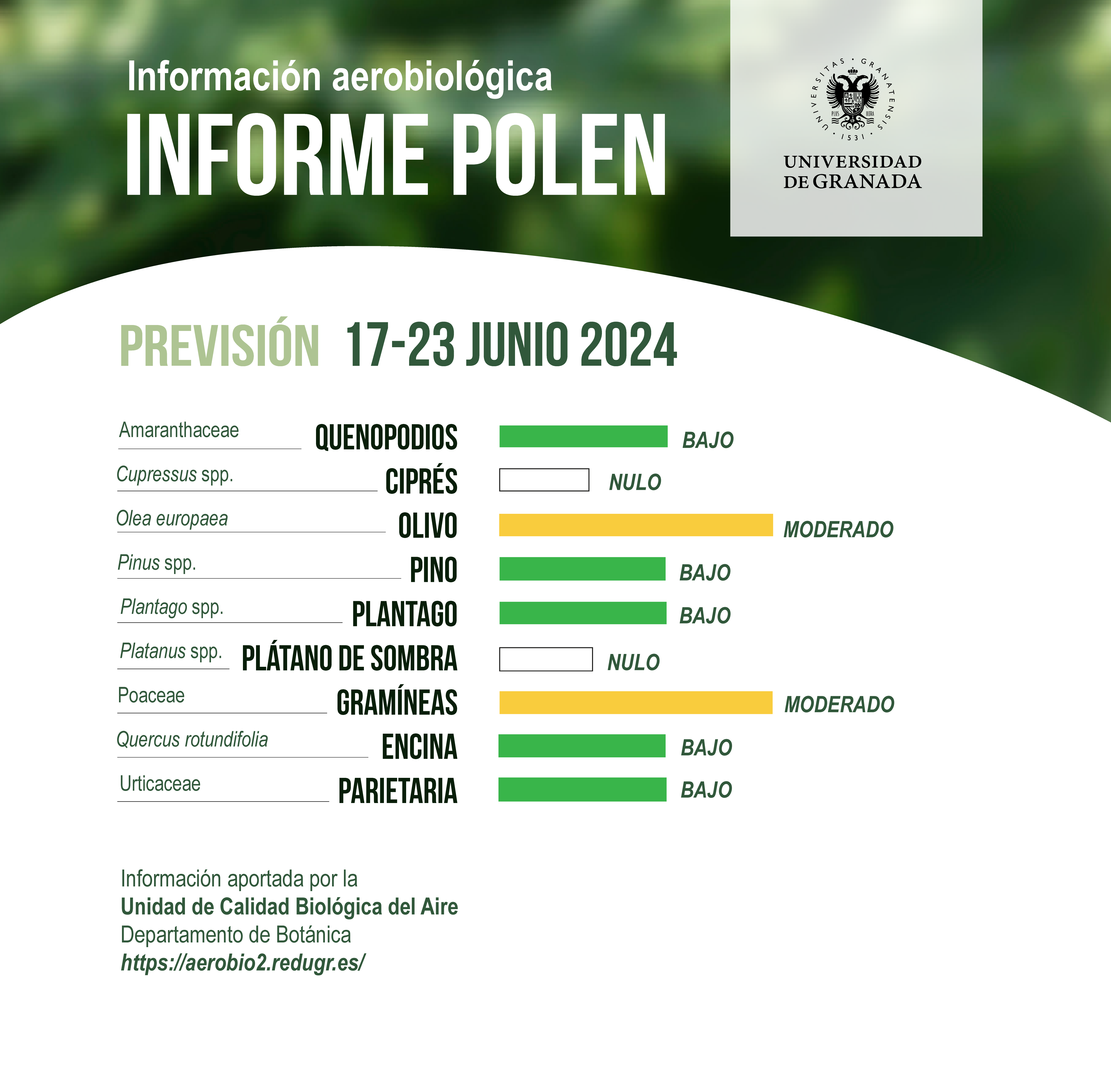 Informe Polen del 17 al 23 de junio de 2024