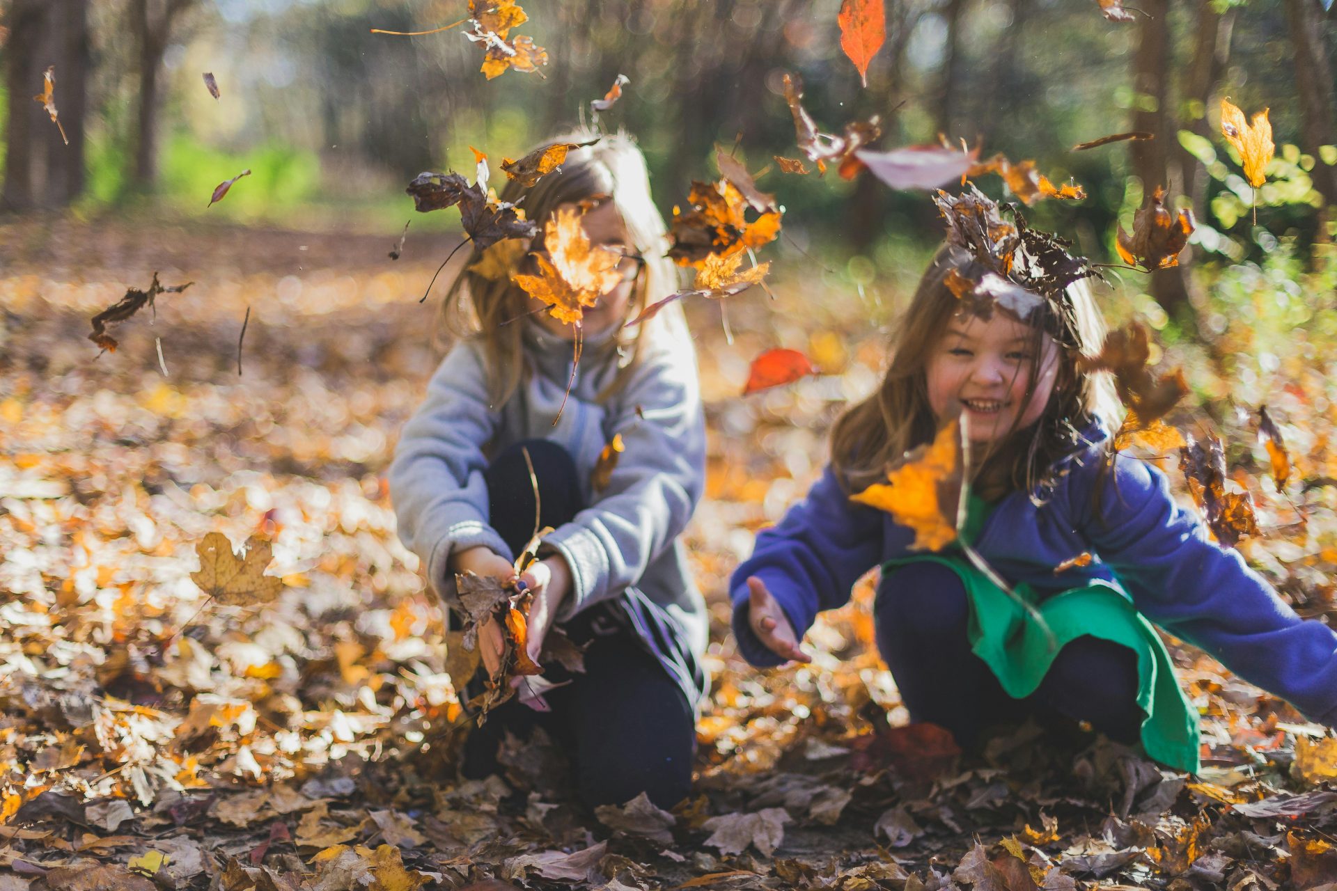 children playing with dry leaves