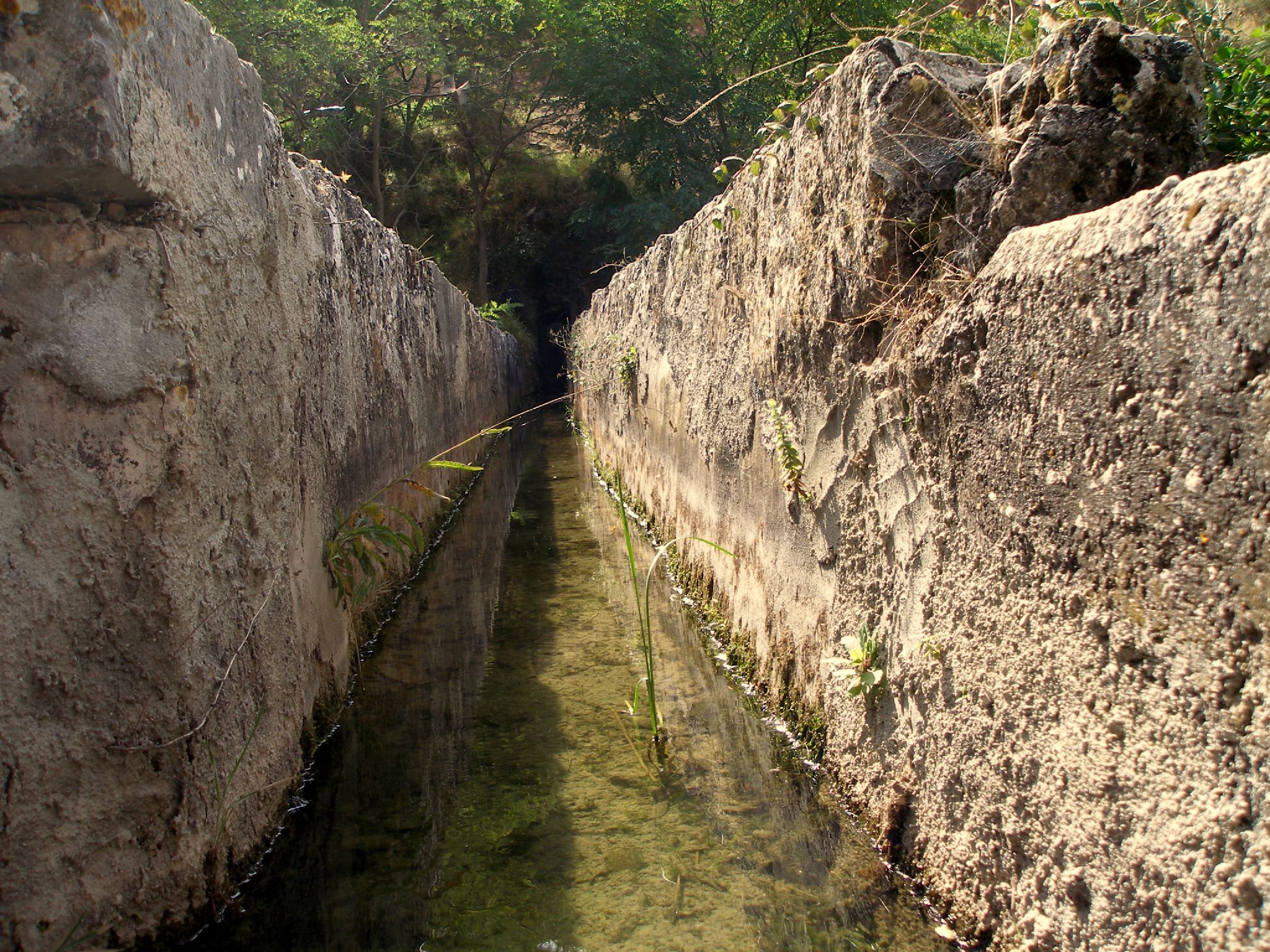 MEMOLab organiza la limpieza del último tramo de la acequia de Aynadamar